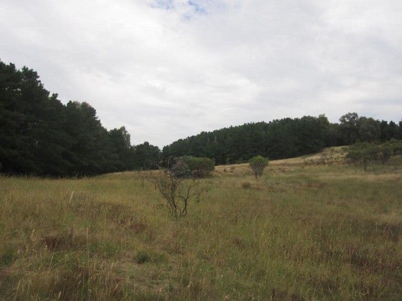 201 Oxley Drive, Mittagong, Mittagong - Thumbnail 4