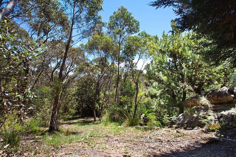 43 Delmonte Avenue, MEDLOW BATH NSW 2780, Medlow Bath - Thumbnail 5