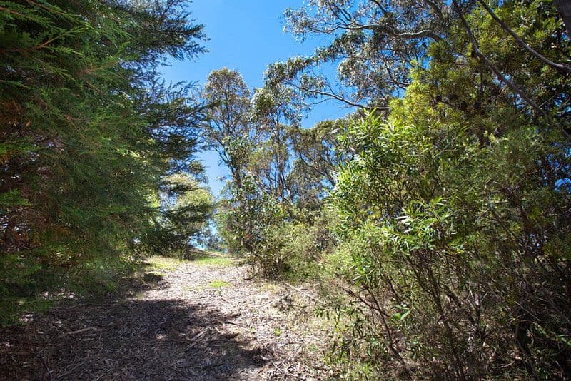 43 Delmonte Avenue, MEDLOW BATH NSW 2780, Medlow Bath - Thumbnail 4