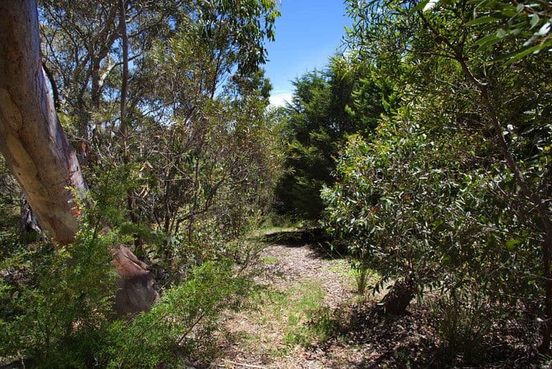 43 Delmonte Avenue, MEDLOW BATH NSW 2780, Medlow Bath - Thumbnail 2