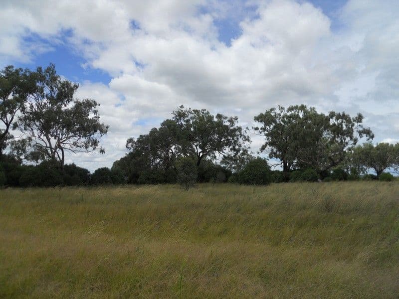 264 Hinz Road, NOBBY QLD 4360, Nobby - Thumbnail 5