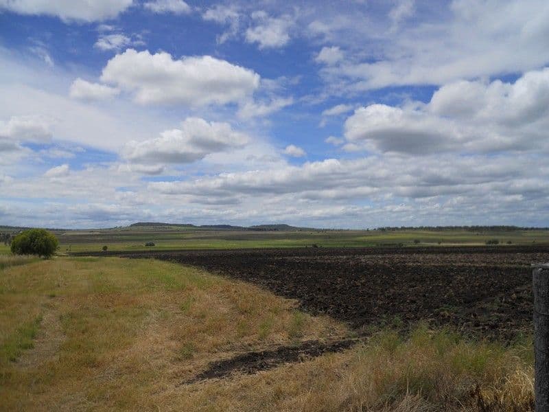 264 Hinz Road, NOBBY QLD 4360, Nobby - Thumbnail 2