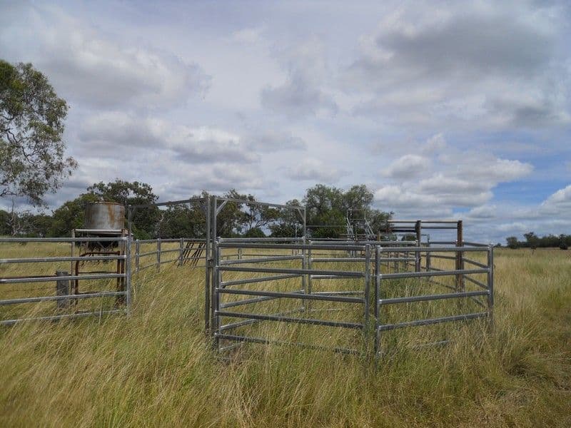 264 Hinz Road, NOBBY QLD 4360, Nobby - Thumbnail 4