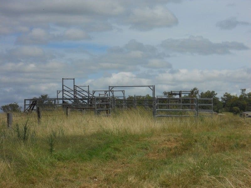 264 Hinz Road, NOBBY QLD 4360, Nobby - Thumbnail 3