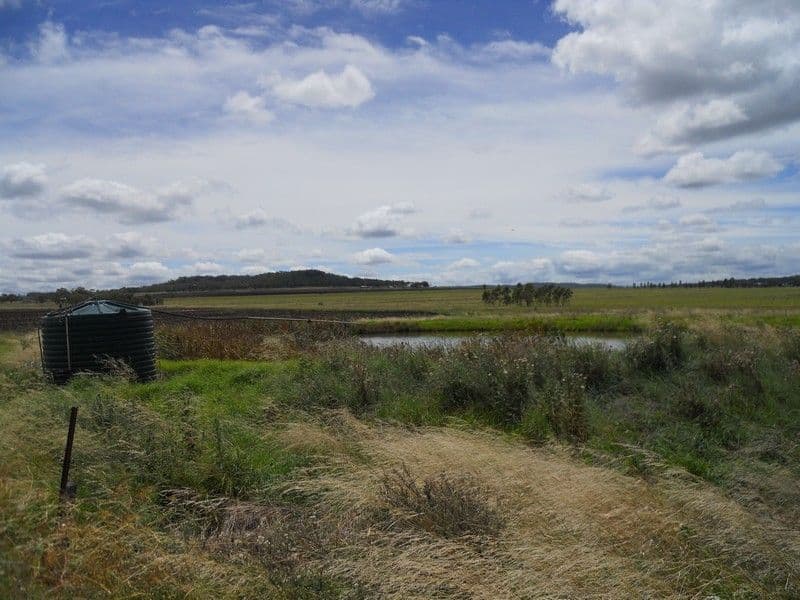 264 Hinz Road, NOBBY QLD 4360, Nobby - Thumbnail 6