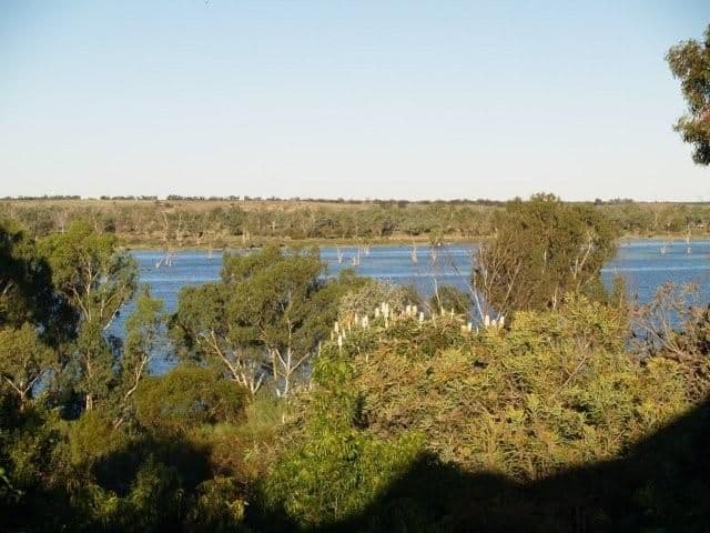 190 Ramco Road, WAIKERIE SA 5330, Waikerie - Thumbnail 2