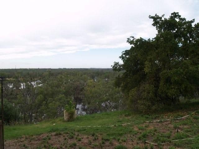 817 Murrayview Road, WAIKERIE SA 5330, Waikerie - Thumbnail 5