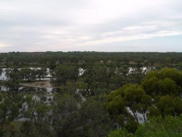 817 Murrayview Road, WAIKERIE SA 5330, Waikerie - Thumbnail 3