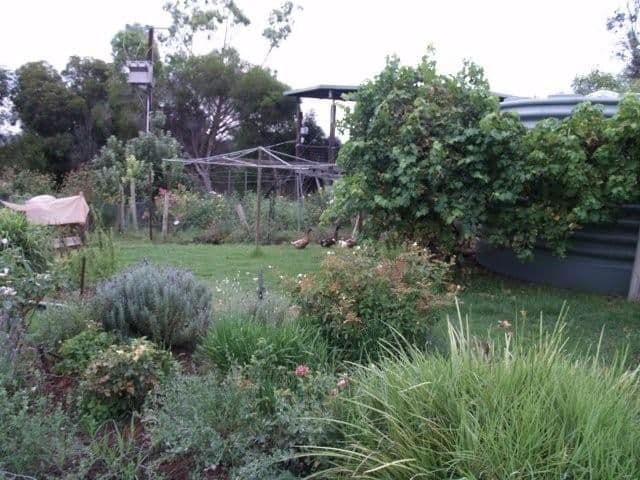 817 Murrayview Road, WAIKERIE SA 5330, Waikerie - Thumbnail 6