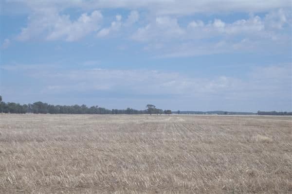 WEST WYALONG NSW 2671, West Wyalong - Thumbnail 5