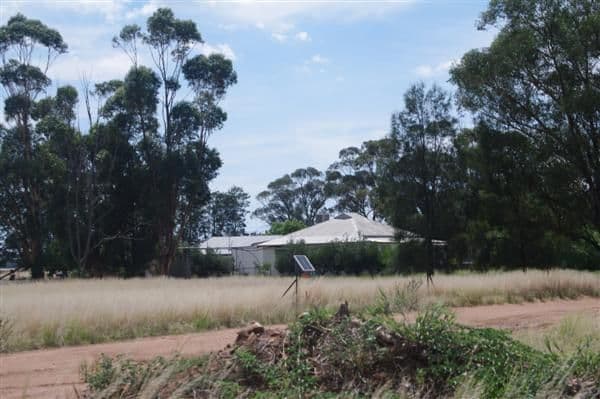 WEST WYALONG NSW 2671, West Wyalong - Thumbnail 3