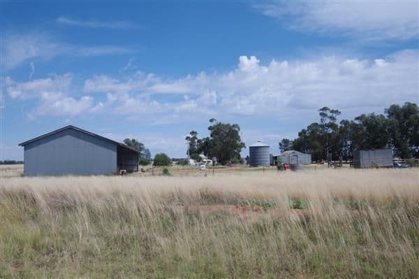 WEST WYALONG NSW 2671, West Wyalong - Thumbnail 4