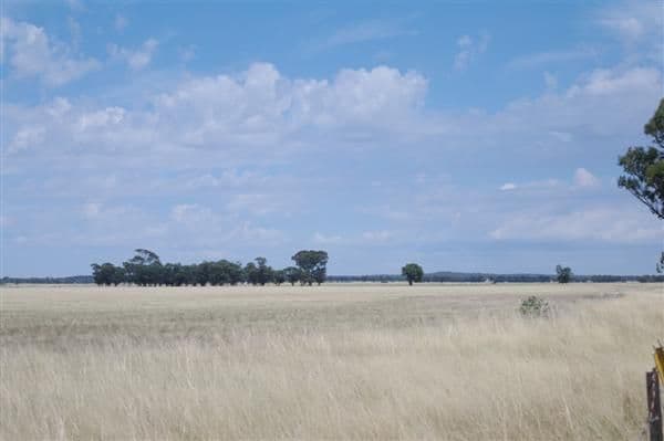WEST WYALONG NSW 2671, West Wyalong - Thumbnail 2