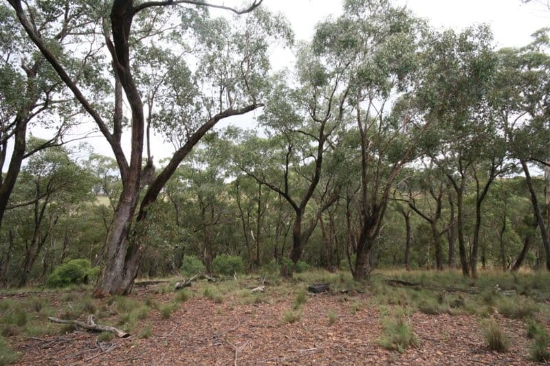 260 The Meadows Road, OBERON NSW 2787, Oberon - Thumbnail 8