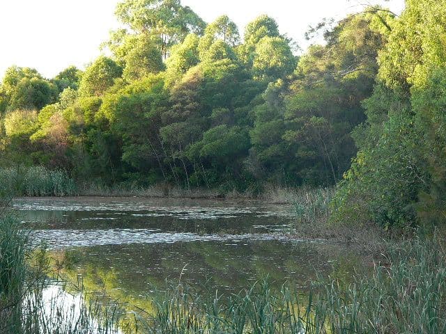 24 Bella Boulevard, PIMPAMA QLD 4209, Pimpama - Thumbnail 4