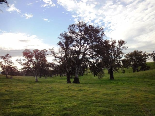 ANGASTON SA 5353, Angaston - Thumbnail 6