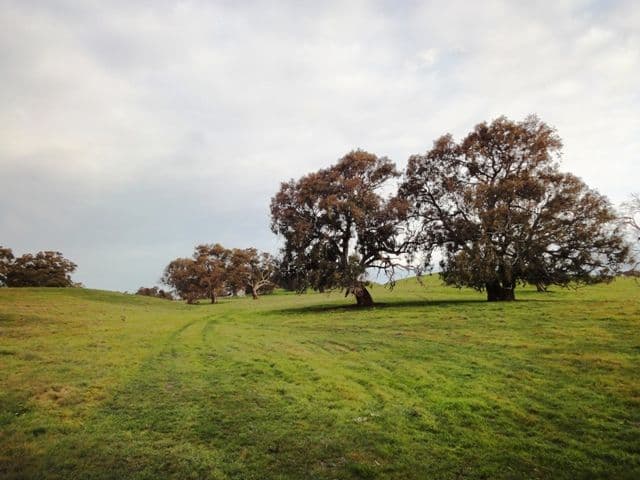ANGASTON SA 5353, Angaston - Image 1