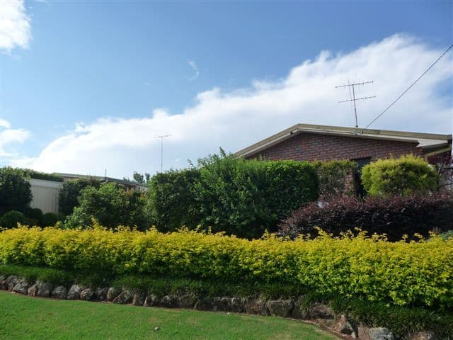 379 Stenner Street, KEARNEYS SPRING QLD 4350, Kearneys Spring - Thumbnail 2