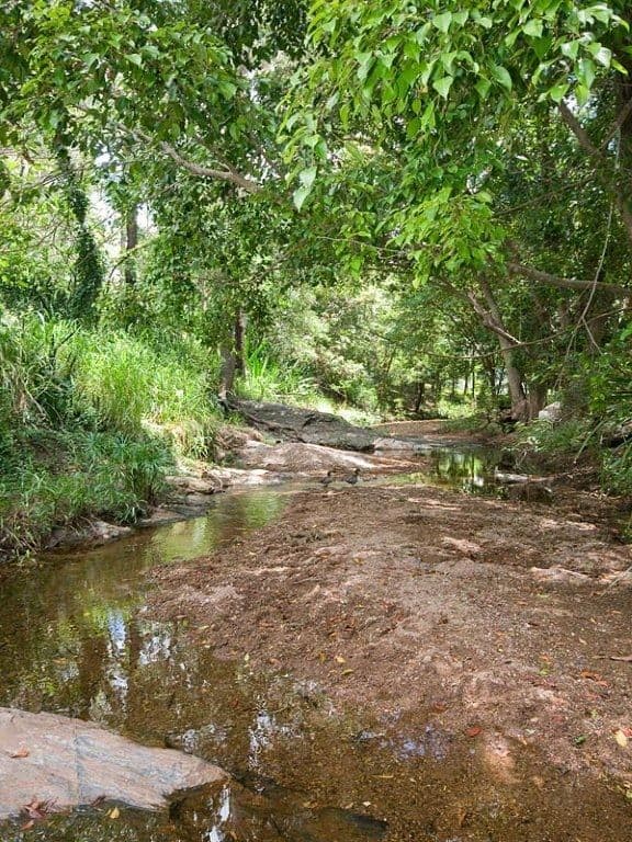 51 Bowman Parade, BARDON QLD 4065, Bardon - Thumbnail 7