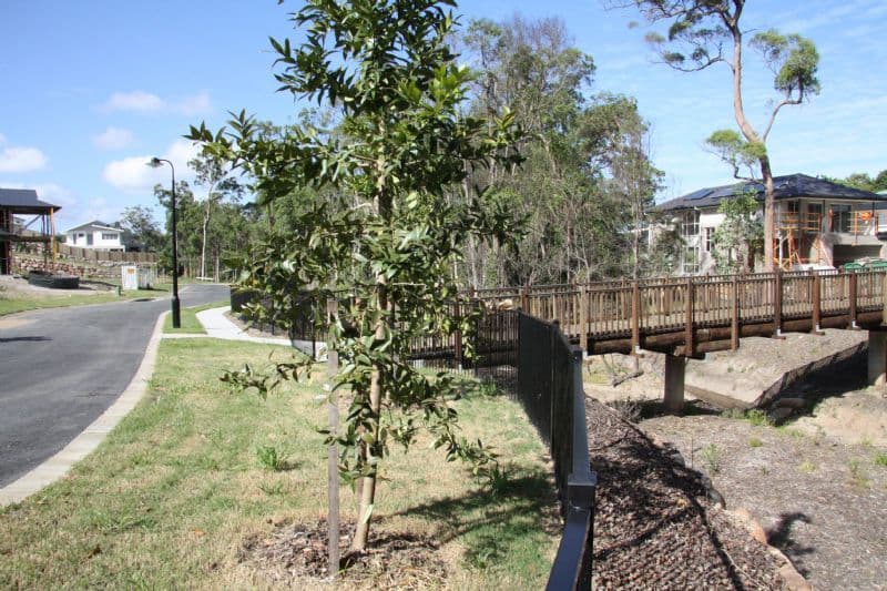 5 (Lot 3) Creekside Court, EVERTON HILLS QLD 4053, Everton Hills - Thumbnail 2