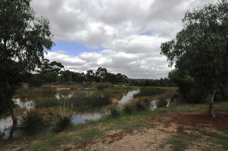 17 Shillabeer Road, ELIZABETH PARK SA 5113, Elizabeth Park - Thumbnail 2