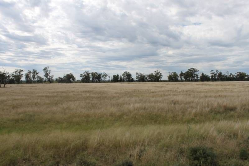 TULLAMORE NSW 2874, Tullamore - Thumbnail 5