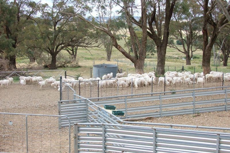 0 Gap Road, BLAYNEY NSW 2799, Blayney - Thumbnail 4