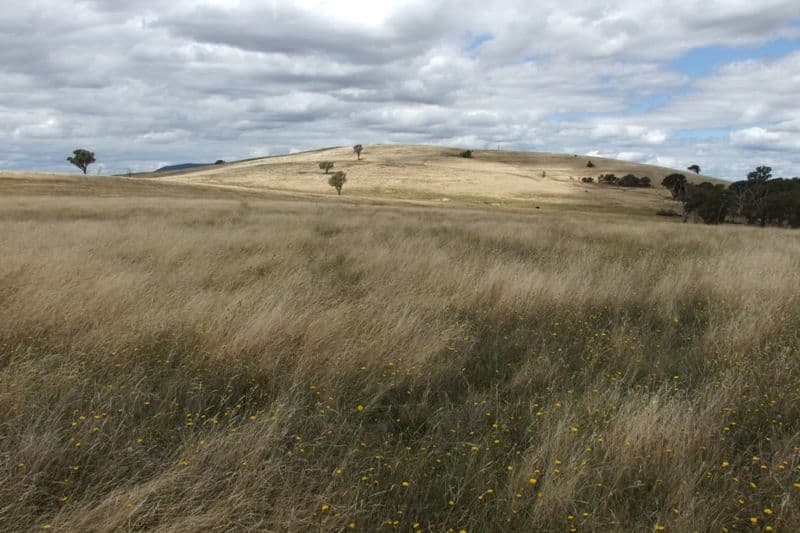 0 Gap Road, BLAYNEY NSW 2799, Blayney - Thumbnail 7