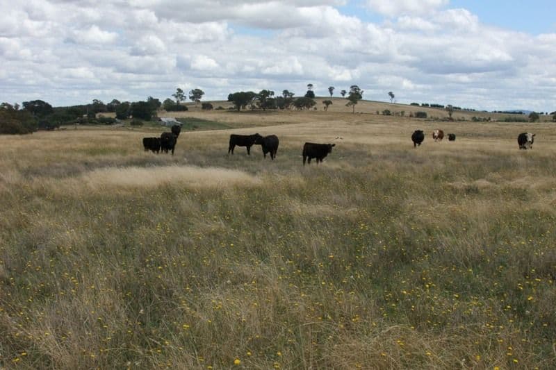 0 Gap Road, BLAYNEY NSW 2799, Blayney - Thumbnail 8
