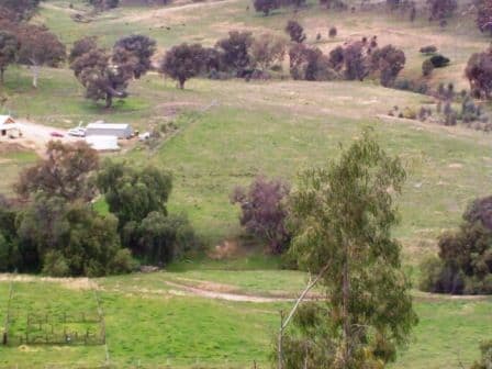 47 Dashiell Lane, SPLITTERS CREEK NSW 2640, Splitters Creek - Thumbnail 2