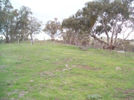 47 Dashiell Lane, SPLITTERS CREEK NSW 2640, Splitters Creek - Thumbnail 7