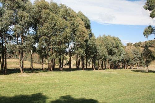 35 Sheehan Road, HOSKINSTOWN NSW 2621, Hoskinstown - Thumbnail 6