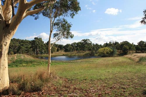 35 Sheehan Road, HOSKINSTOWN NSW 2621, Hoskinstown - Thumbnail 3