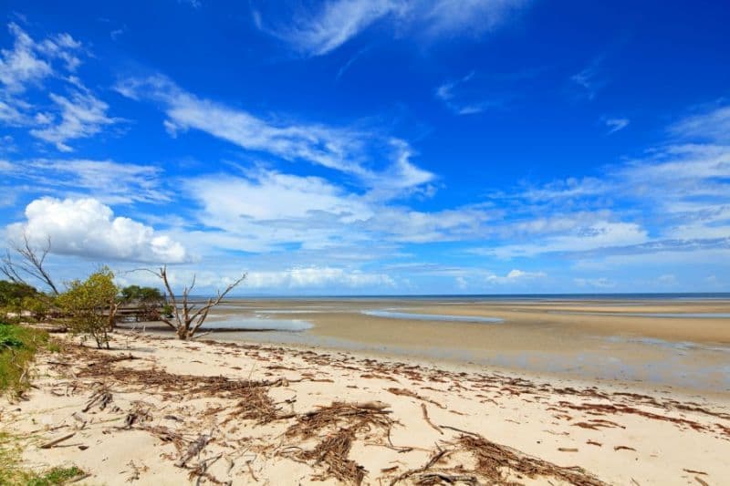 2/9 Quarry Street, Ipswich, QLD, 4305, Ipswich - Thumbnail 5