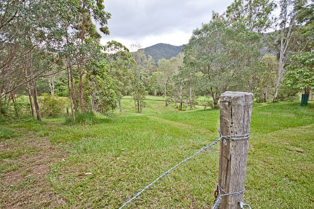 273 Foggs Road, MT SAMSON QLD 4520, Mount Samson - Thumbnail 8