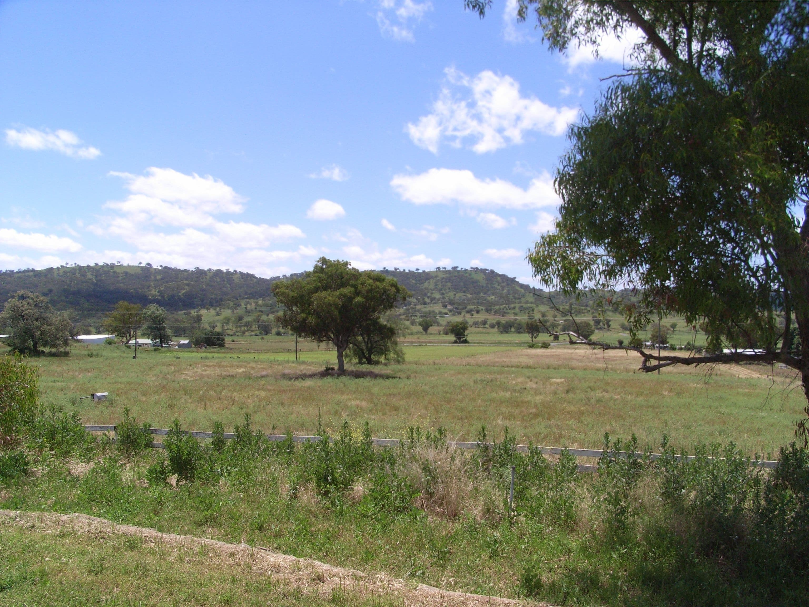 220 Oregans Lane, BARRABA NSW 2347, Barraba - Thumbnail 8