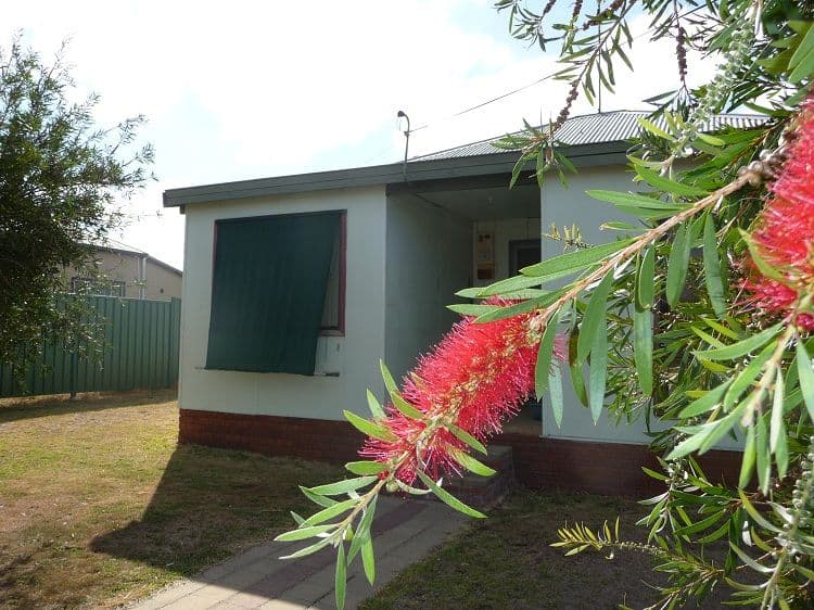 8 Arnott Street, MANJIMUP WA 6258, Manjimup - Thumbnail 3