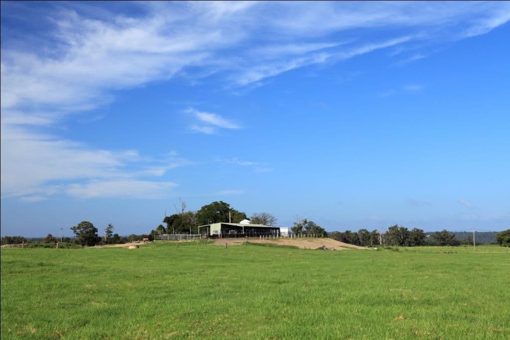 TERARA NSW 2540, Terara - Thumbnail 5