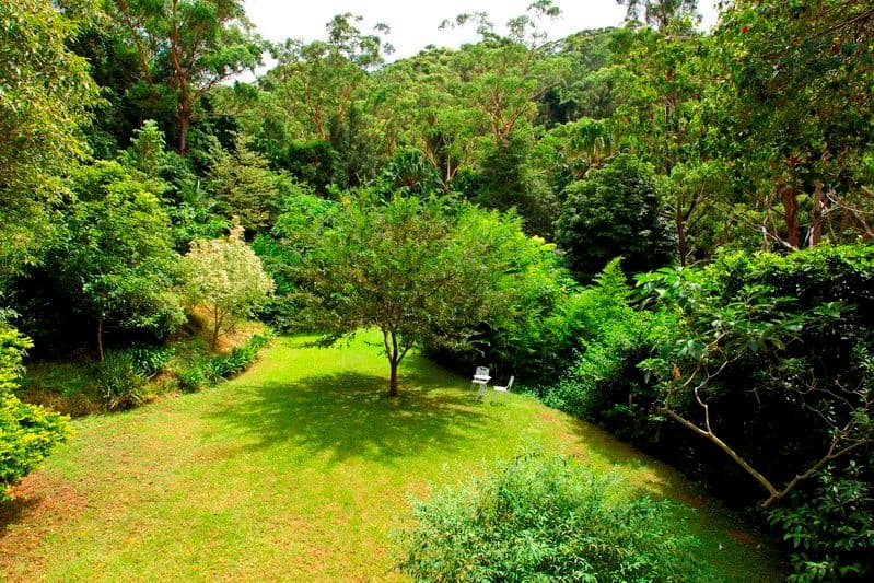 24 Cope Place, BULLI NSW 2516, Bulli - Thumbnail 5
