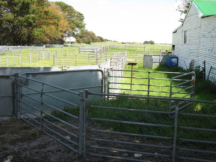 Lot 3 Whitehead Road, THORNLEA SA 5280, Thornlea - Thumbnail 5