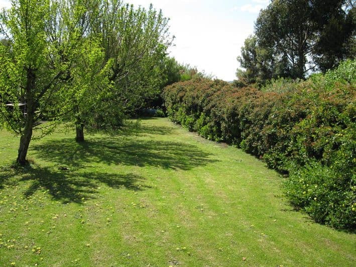 Lot 3 Whitehead Road, THORNLEA SA 5280, Thornlea - Thumbnail 3