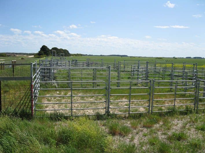 Lot 3 Whitehead Road, THORNLEA SA 5280, Thornlea - Thumbnail 6