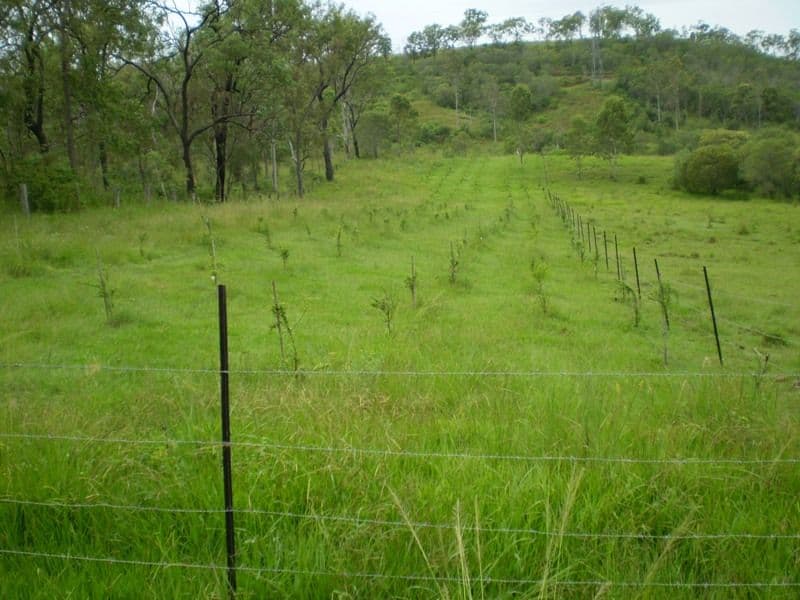 GIN GIN QLD 4671, Gin Gin - Thumbnail 7