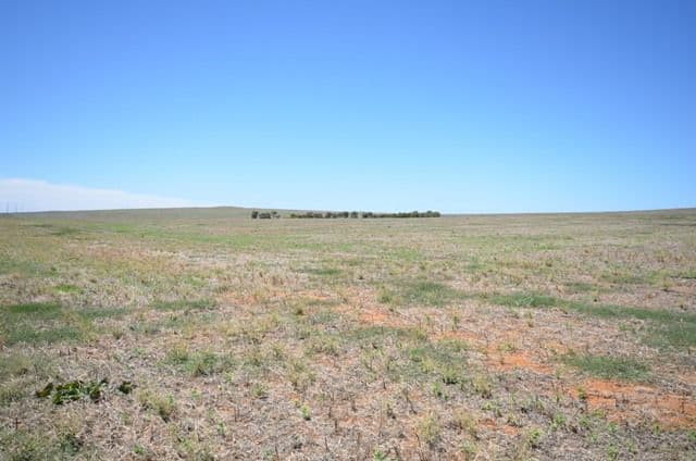 Willacotts and Browns, BURRA SA 5417, Burra - Thumbnail 2