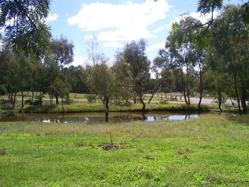 1649 Gerogery Road, GEROGERY NSW 2642, Gerogery - Thumbnail 4