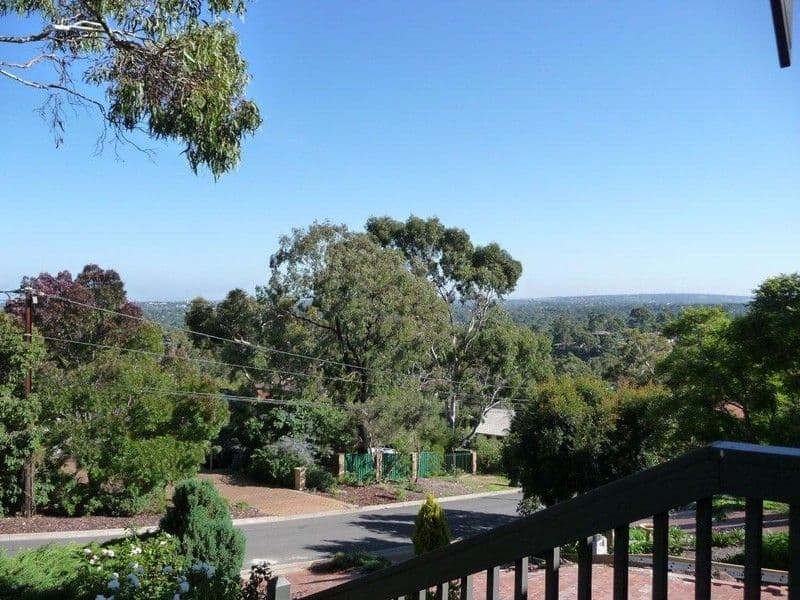 52 Wattle Cresent, TEA TREE GULLY SA 5091, Tea Tree Gully - Thumbnail 4