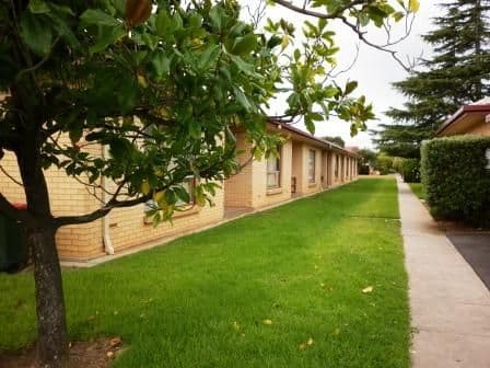 5/1 Mavis Avenue, SOUTH PLYMPTON SA 5038, South Plympton - Image 1