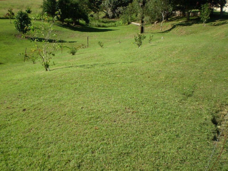 WALLAVILLE QLD 4671, Wallaville - Thumbnail 2