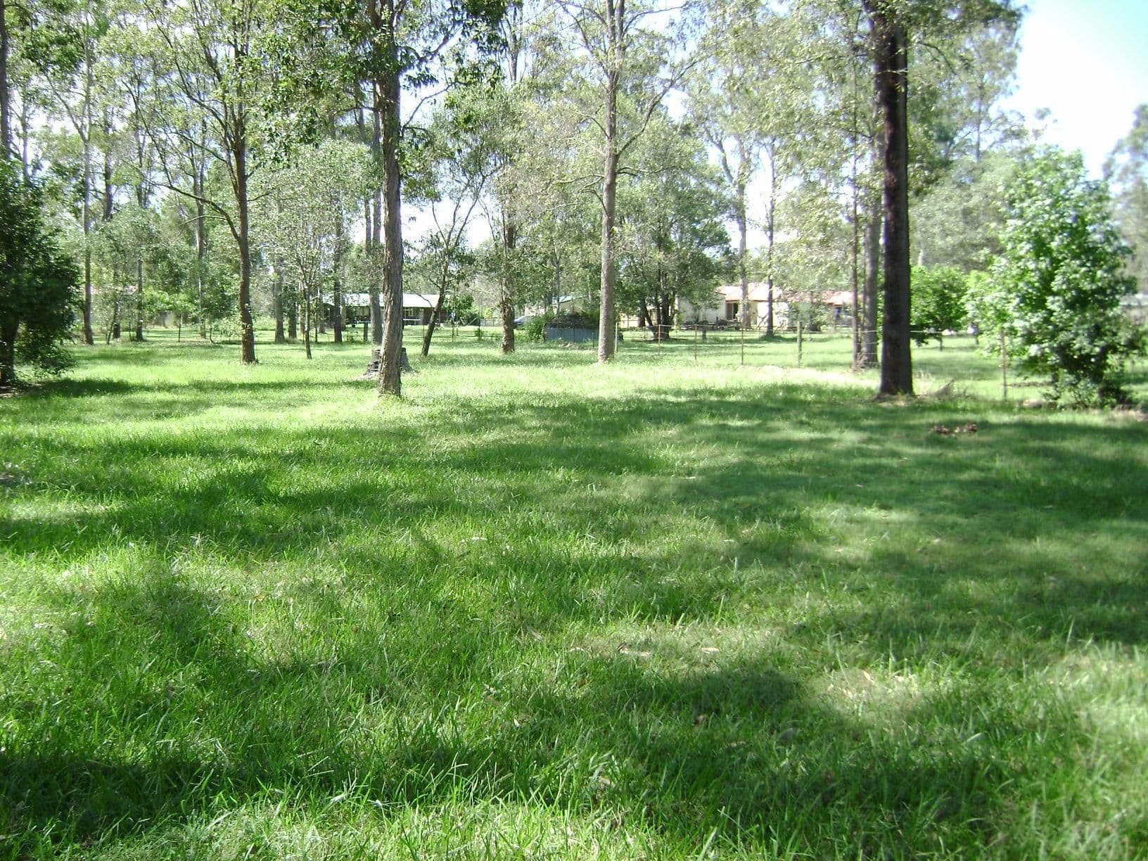 JIMBOOMBA QLD 4280, Jimboomba - Thumbnail 4