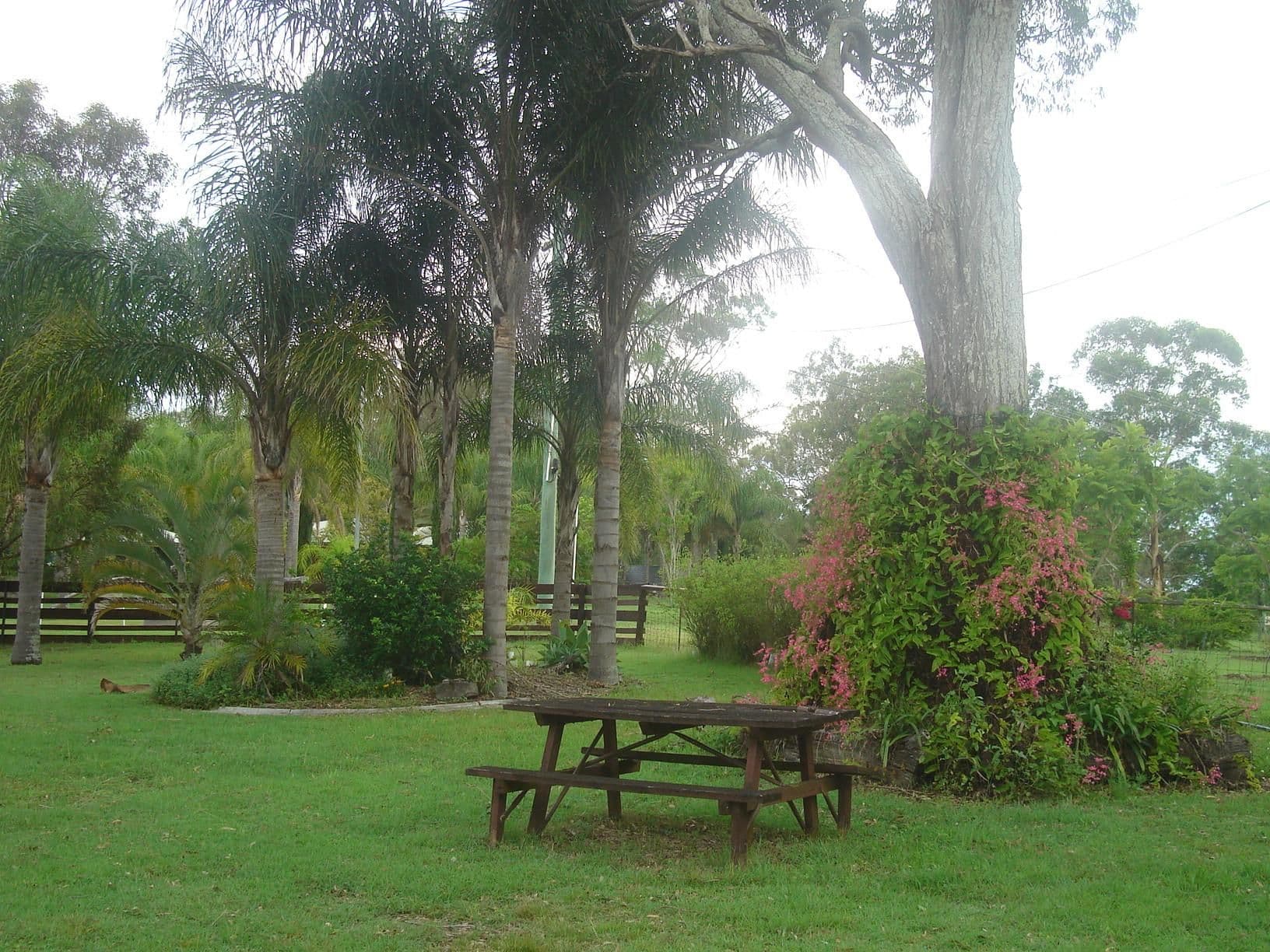 WOODHILL QLD 4285, Woodhill - Thumbnail 7